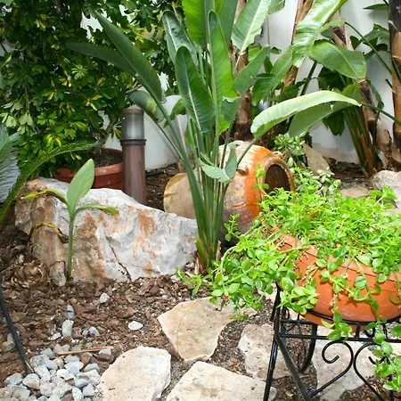 El Pinche De Oro Benicarlo