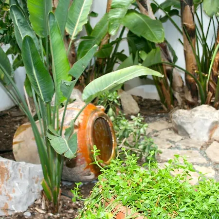 El Pinche De Oro Hotel Benicarlo