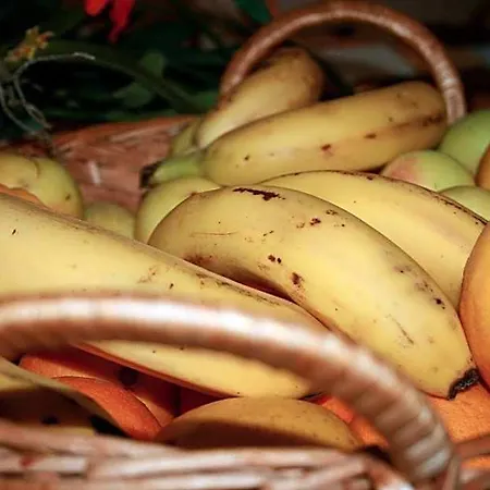 Hotel El Pinche De Oro Benicarló