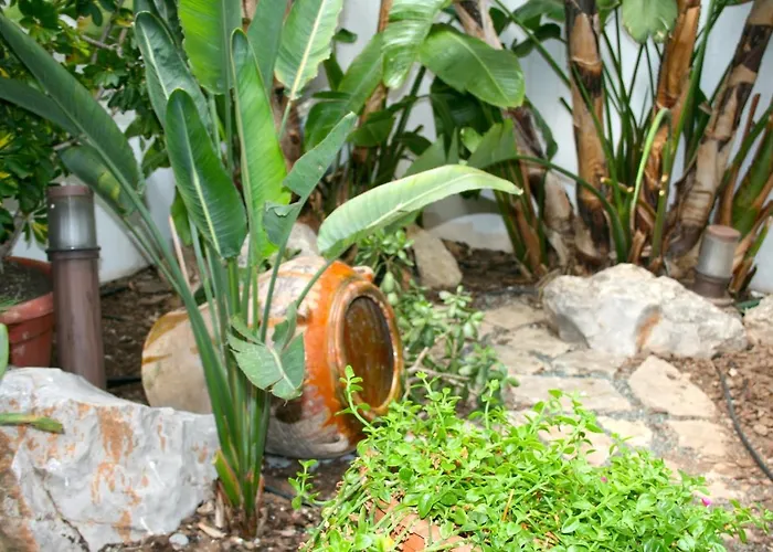El Pinche De Oro Hotel Benicarló